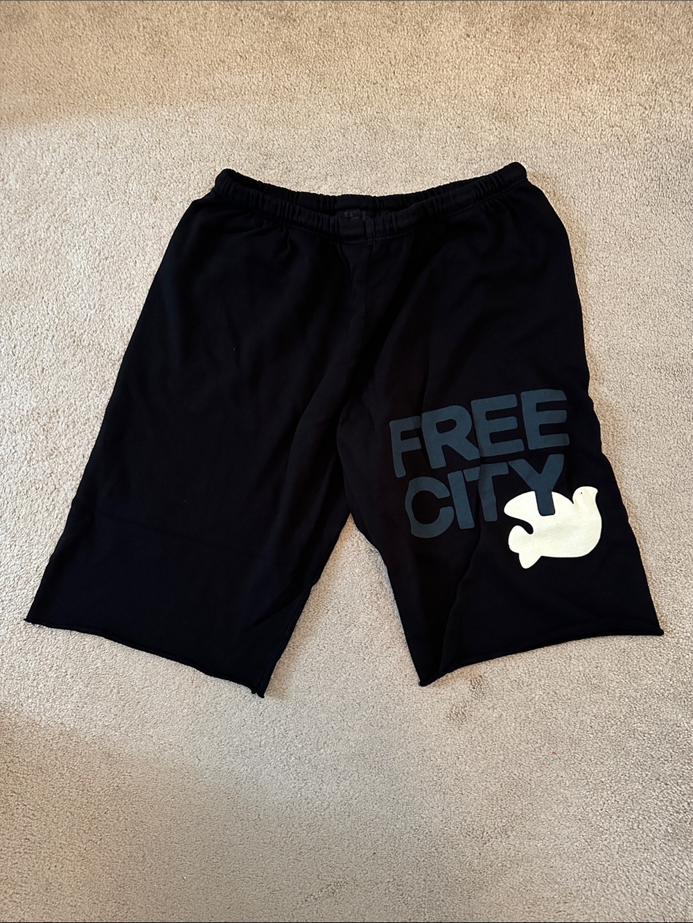 NWT FREE CITY Shorts Medium Black